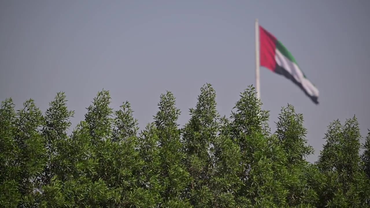 UAE national flag fluttering proudly over a canopy of green trees.