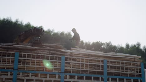 worker loading logs onto truck