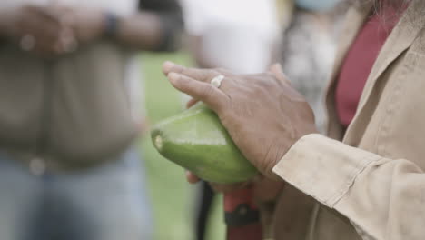 imágenes en cámara lenta de las manos de una persona limpiando el exterior de una fruta de cacao