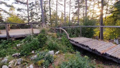 lookout point in the mountains surrounded by trees