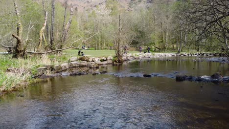 Una-Toma-Corriente-Del-Río-Rothay-Flotando-En-Medio-De-Una-Jungla