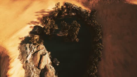 top down aerial view of oasis in desert