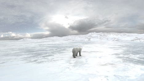 polar bear in snowy arctic landscape