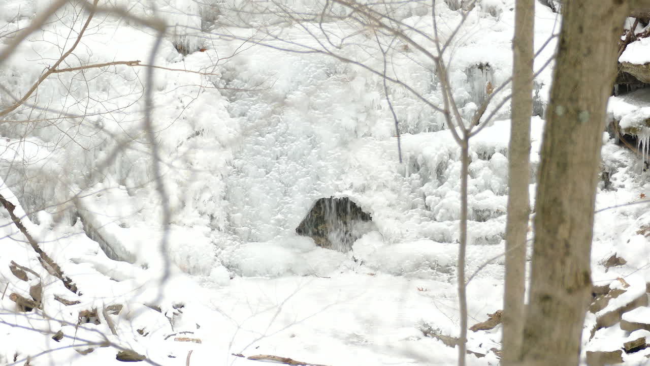 나이아가라 급경사면, 해밀턴, 온타리오, 캐나다의 눈 덮인 겨울 풍경을 통해 폭포