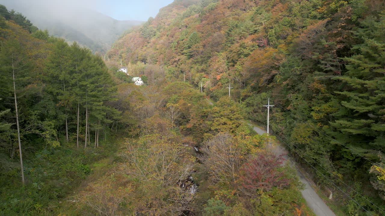 A sweeping drone shot moving downwards to reveal a clear mountain stream flowing through an autumn forest