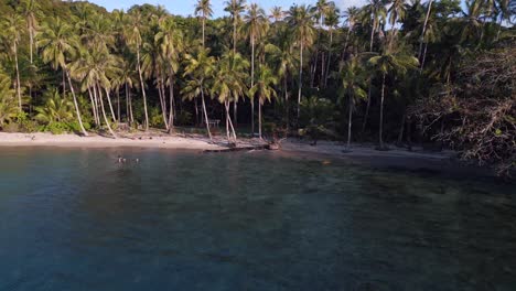 Verliebtes-Paar-Im-Wasser-Am-Palmenstrand