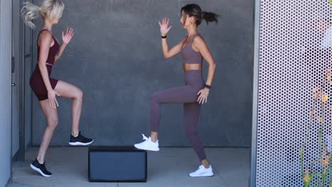 Two-women-do-kickers-aerobic-exercise-in-a-gym-during-a-workout-to-stay-in-shape