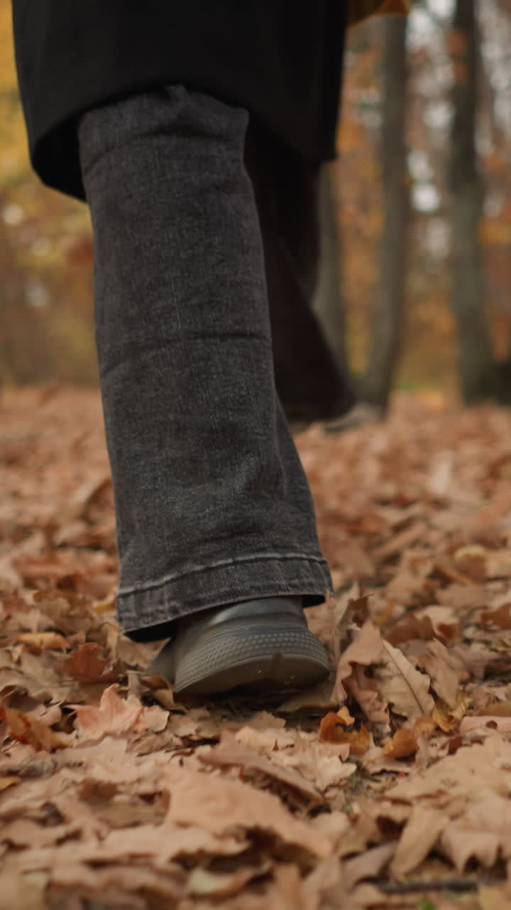 Back leg view of an individual playfully scattering dry leaves while walking through a forest, dressed in canvas shoes and black jeans, amidst a carpet of fallen autumn foliage