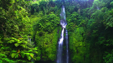 overgrown rainforest cliff in fiji waterfall canyon near lemukih, bali