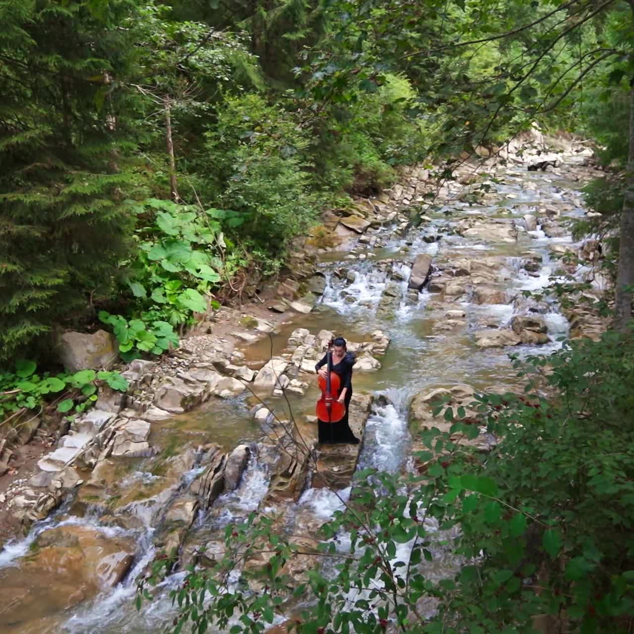 Woman in dress playing cello