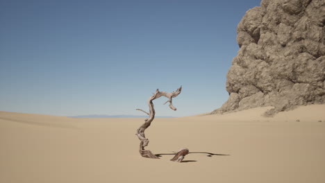 Un árbol muerto en el desierto