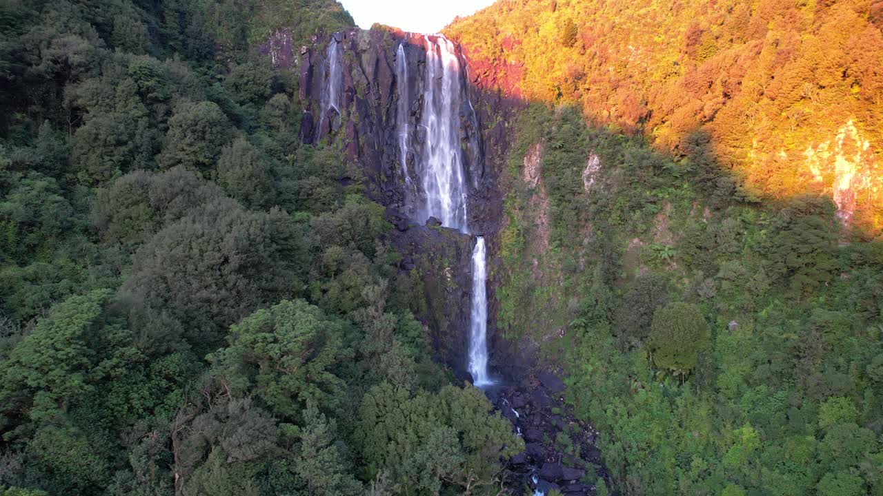 cataratas de wairere - la cascada más alta de la isla norte, nueva zelanda - tiro aéreo de un dron