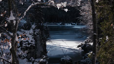 Experimente-La-Tranquilidad-De-Un-Lago-Distante,-Con-La-Elegante-Presencia-De-Los-árboles-En-Primer-Plano