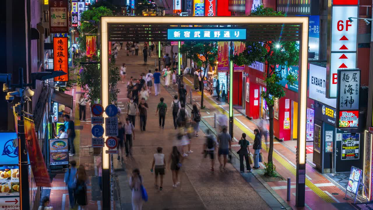 Crowds of people in busy Mushashino St, Shinjuku, Tokyo high angle night time lapse