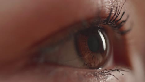 close-up of a brown eye