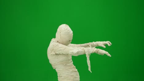 green screen isolated chroma key side view video capturing a mummy staggering on a place mock up - green screen isolated chroma key side view video capturing a mummy staggering on a place. mock up, workspace for your promotion clip or advertisement. medium size. halloween holidays