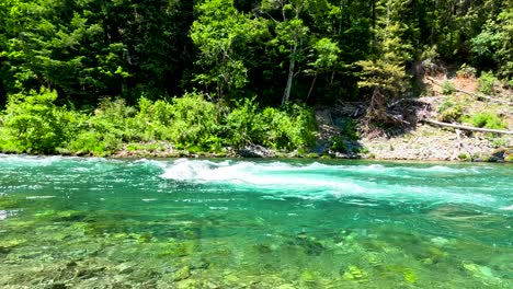 los árboles se sientan detrás de las olas de agua esmeralda