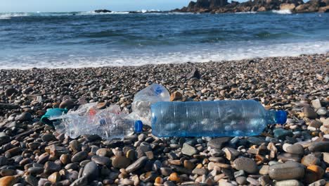 environmental pollution with plastic bottles washed ashore