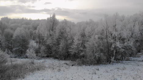 frozen woods, frost on trees aerial wintertime view, snow covered landscape