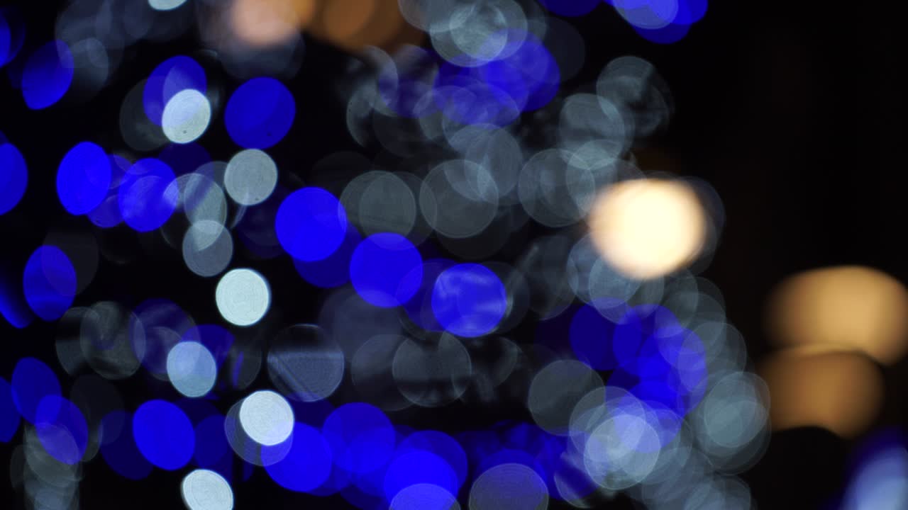 도시 에서 밤 에 크리스마스 트리 의 장식