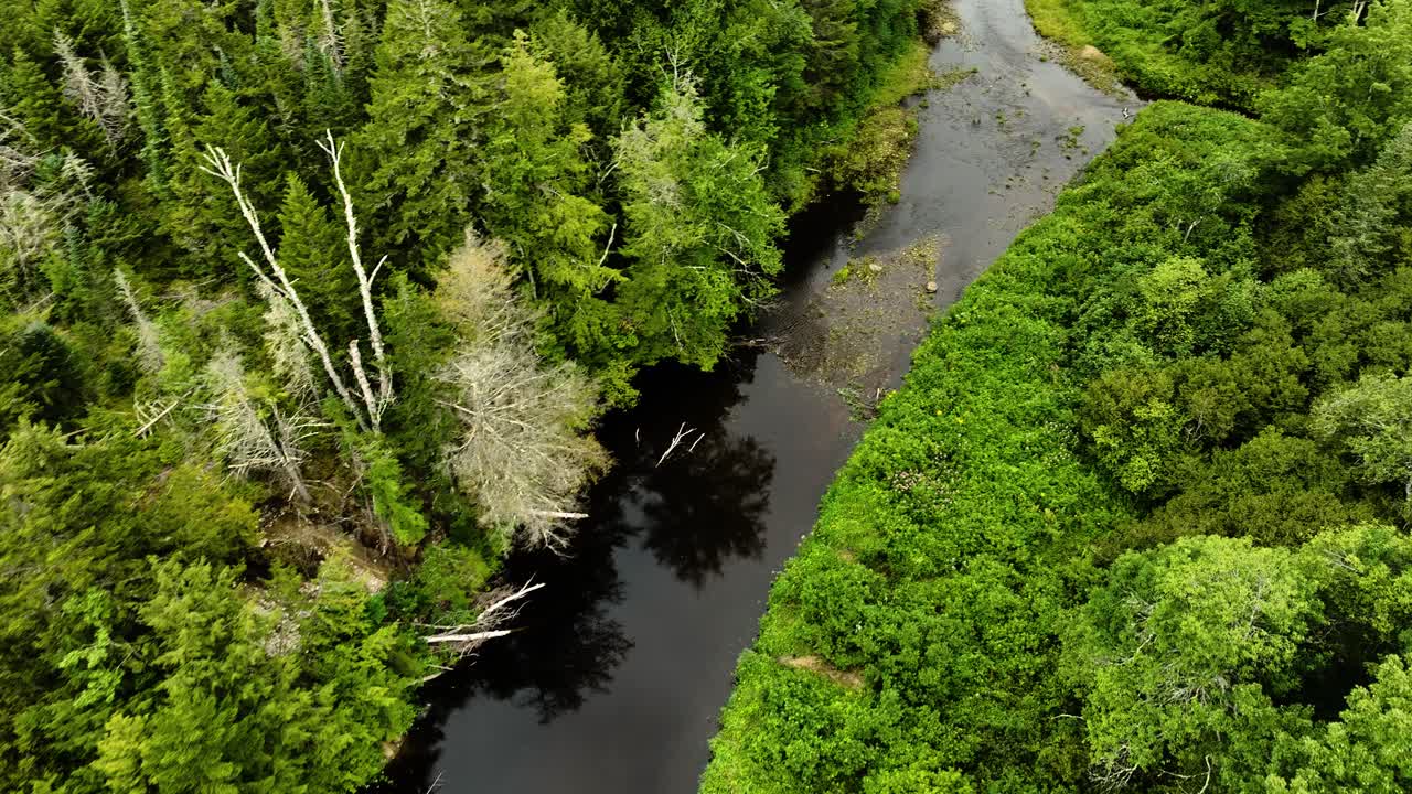 Bird's eye view of New York State wilderness