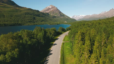 carretera costera entre el follaje de los árboles con montañas forestales y alpinas cerca de tromso en el norte de noruega