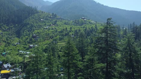 aerial view short of jibhi himachal pradesh in india. houses and trees in the mountainous area. faguli festival is one of the biggest festival in jibhi. the traditional houses here have stone roofs.