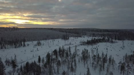 The-frozen-forest-near-Kuusamo-in-Lapland,-Finland