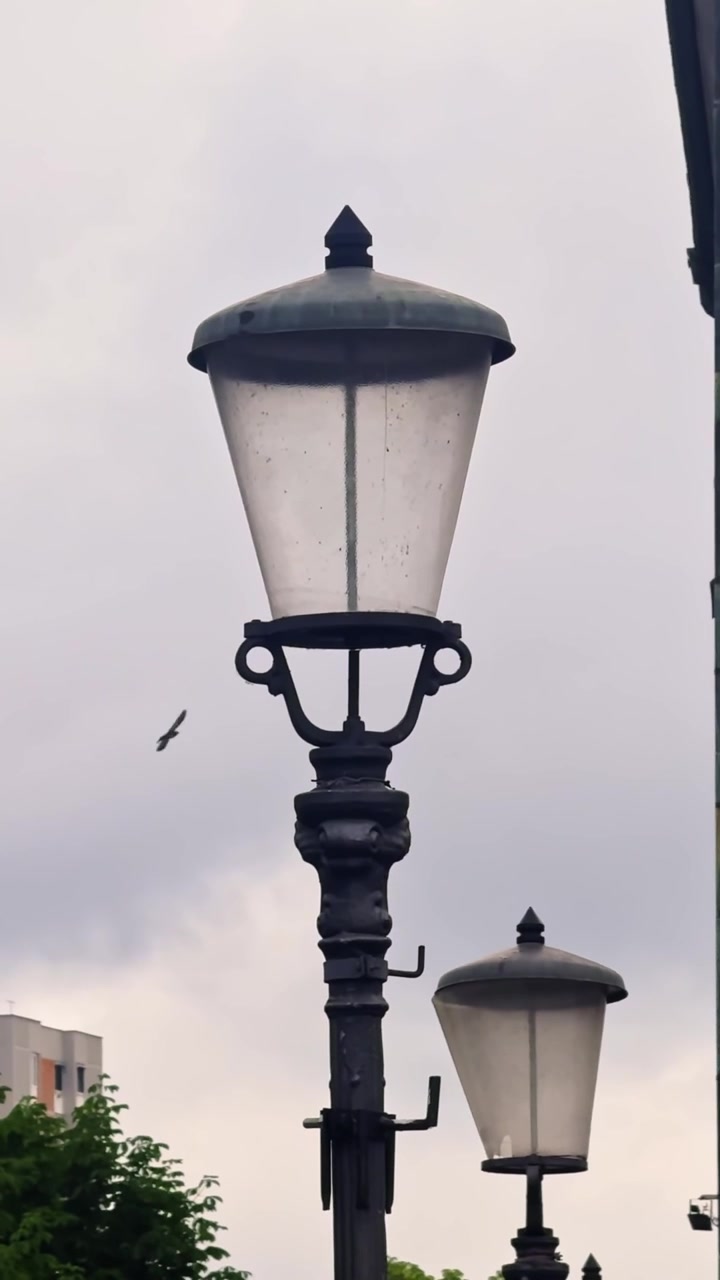 Primer plano de farolas negras vintage con pantallas de vidrio esmerilado y herrajes ornamentales, creando un detalle urbano clásico contra un cielo suave y nublado