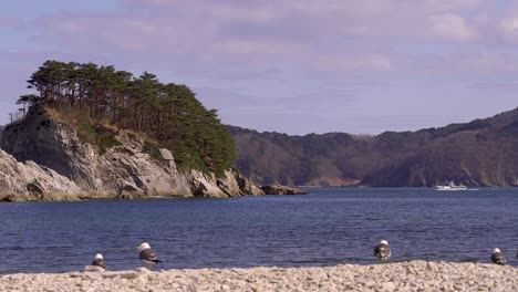 scenic view of ocean, cliffs and fishing boat with out of focus seagulls