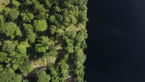 vista aérea de arriba hacia abajo del hermoso paisaje sereno del lago lough tay, lago guinness en las montañas wicklow, con el bosque verde