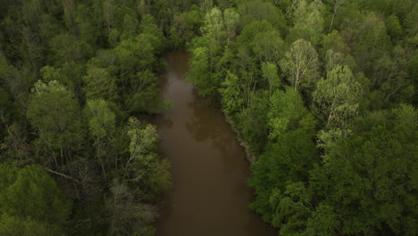 Un-Río-Fangoso-Que-Serpentea-A-Través-De-Frondosos-Bosques-Verdes-En-William-B-De-Tennessee