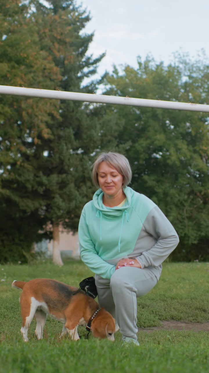 민트색 후드티와 회색 트레이닝복을 입고 초록색 교외 공원에서 비글 강아지를 훈련시키는 백인 노년 여성, 복종 훈련을 연습하는 노견 산책 도우미 및 은퇴한 강아지 훈련사, 쓰다듬기 위해 무릎을 꿇고 있어요.