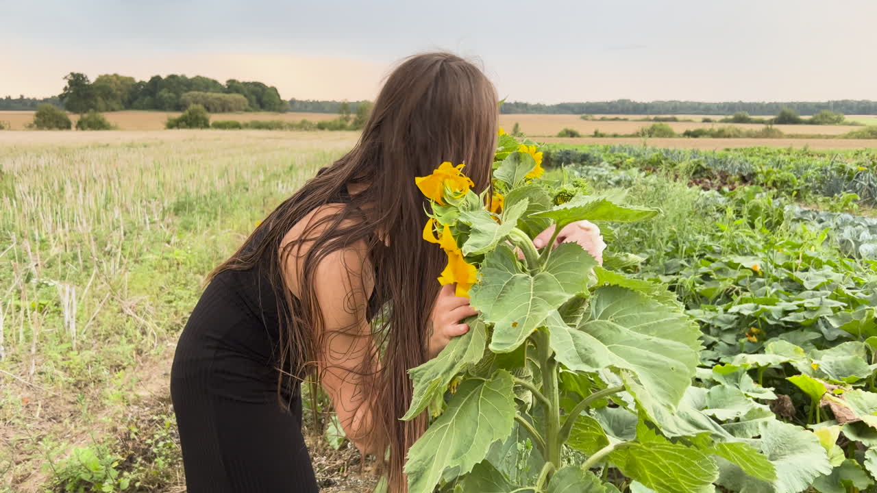 A long-haired woman gently kisses a blooming sunflower in a golden field as the camera slowly zooms in, capturing a tender, sunlit moment filled with warmth, beauty, and vibrant floral charm.