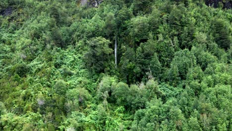 aerial view truck left of a small waterfall hidden among trees in the cochamo valley, chile