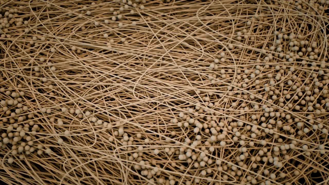 데이터 흐름을 묘사하는 네트워크 개념.