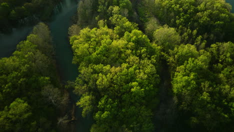 Exuberante-Vegetación-Alrededor-Del-Lago-Sequoyah,-Arkansas,-Con-Agua-Atravesando,-Vista-Aérea