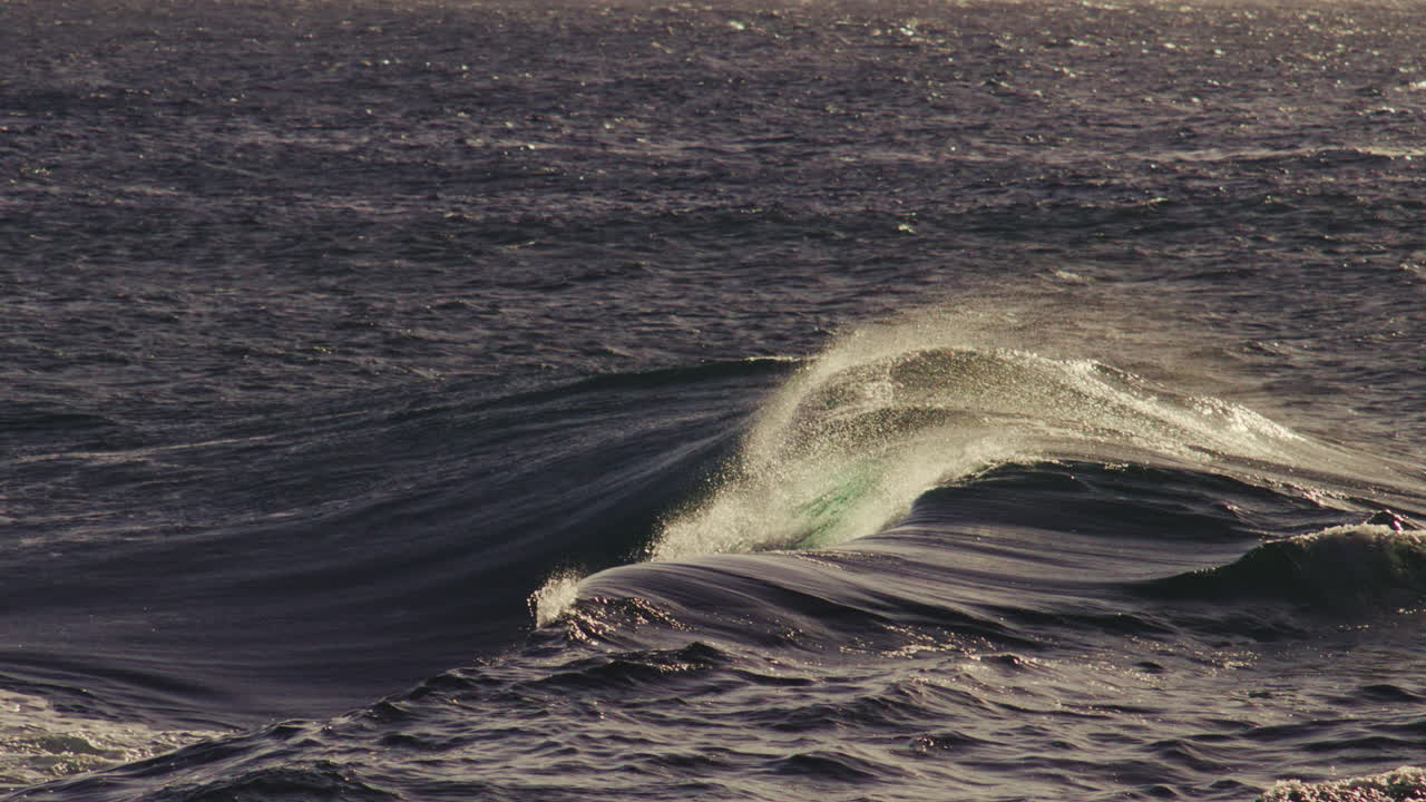Smooth green wave forms steady curve, late afternoon light reflecting off polished surface