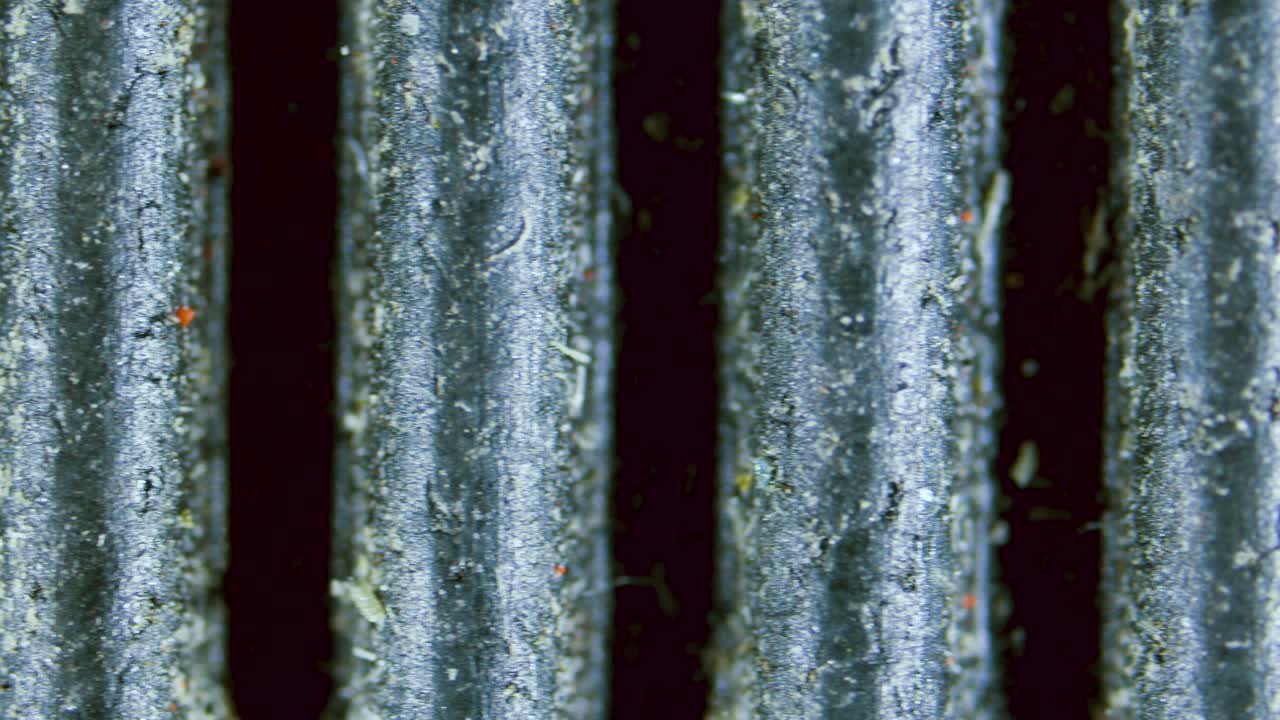 GT2 timing belt under microscope