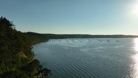 wide aerial shot of penn cove with mussel farm docks off in the distance at sunset