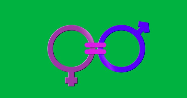 Gender symbols floating on transparent background, featuring double-bar equals sign in education