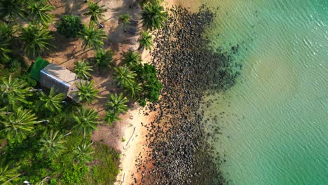 palm trees bordering a pristine white sand beach meeting turquoise water in koh rong island, cambodia. fabulous aerial view flight drone camera pointing down