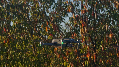 drone with a camera hovers in the air