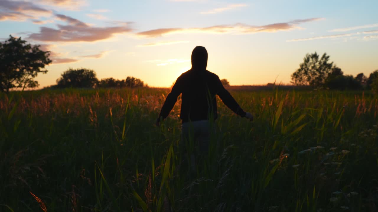aventura de verano en una tarde cálida en el campo de trigo, colores de puesta de sol en el cielo