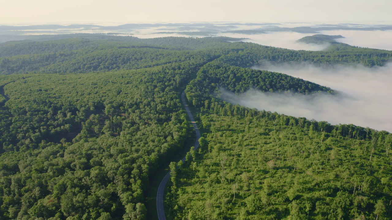 drones aéreos volando hacia adelante a través de un bosque verde de verano mientras un camino rural de montaña atraviesa el valle con niebla matutina fluyendo a través del valle en pensilvania