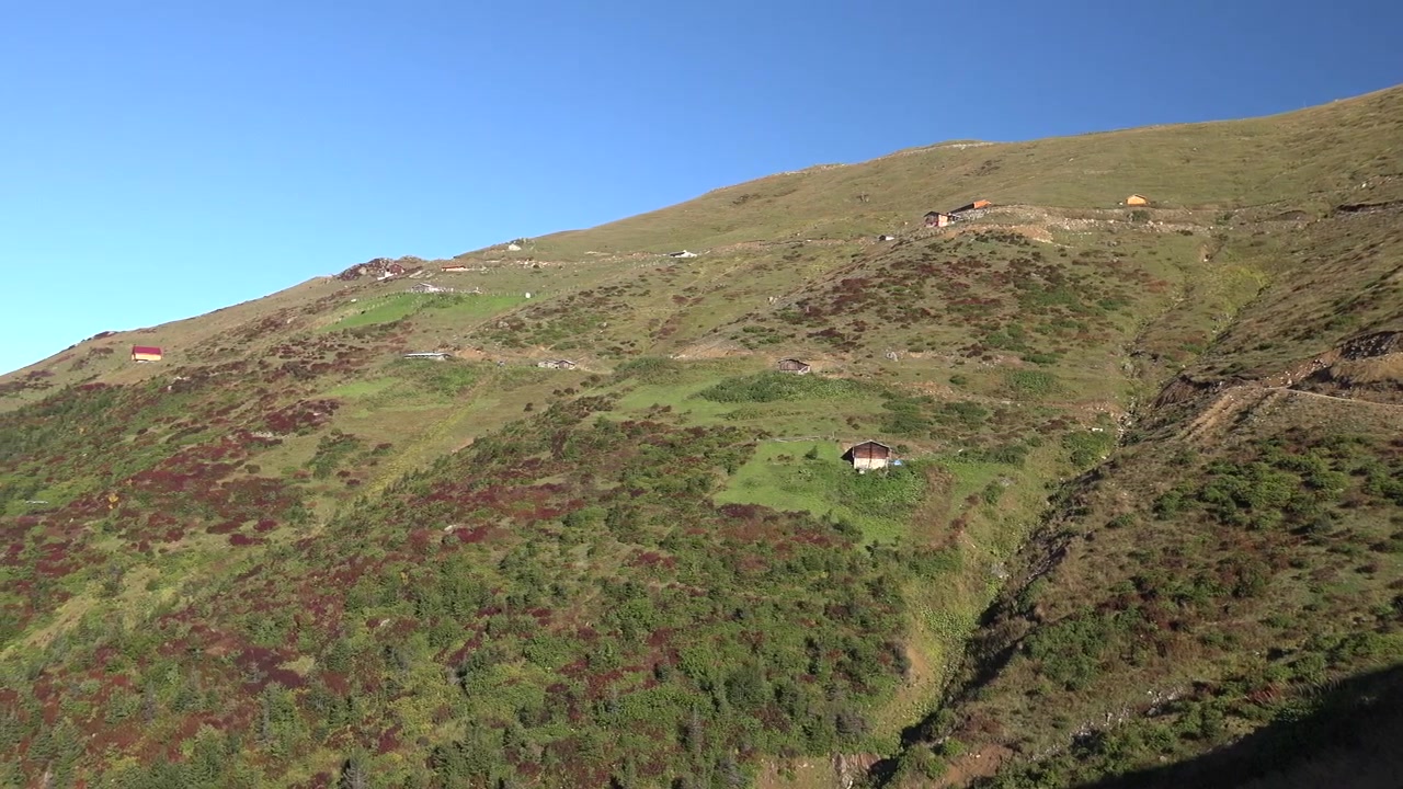 Liten trehytte på en gresskledd fjellskråning.