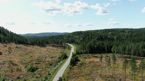 vista aérea de un camión y un automóvil atravesando el bosque