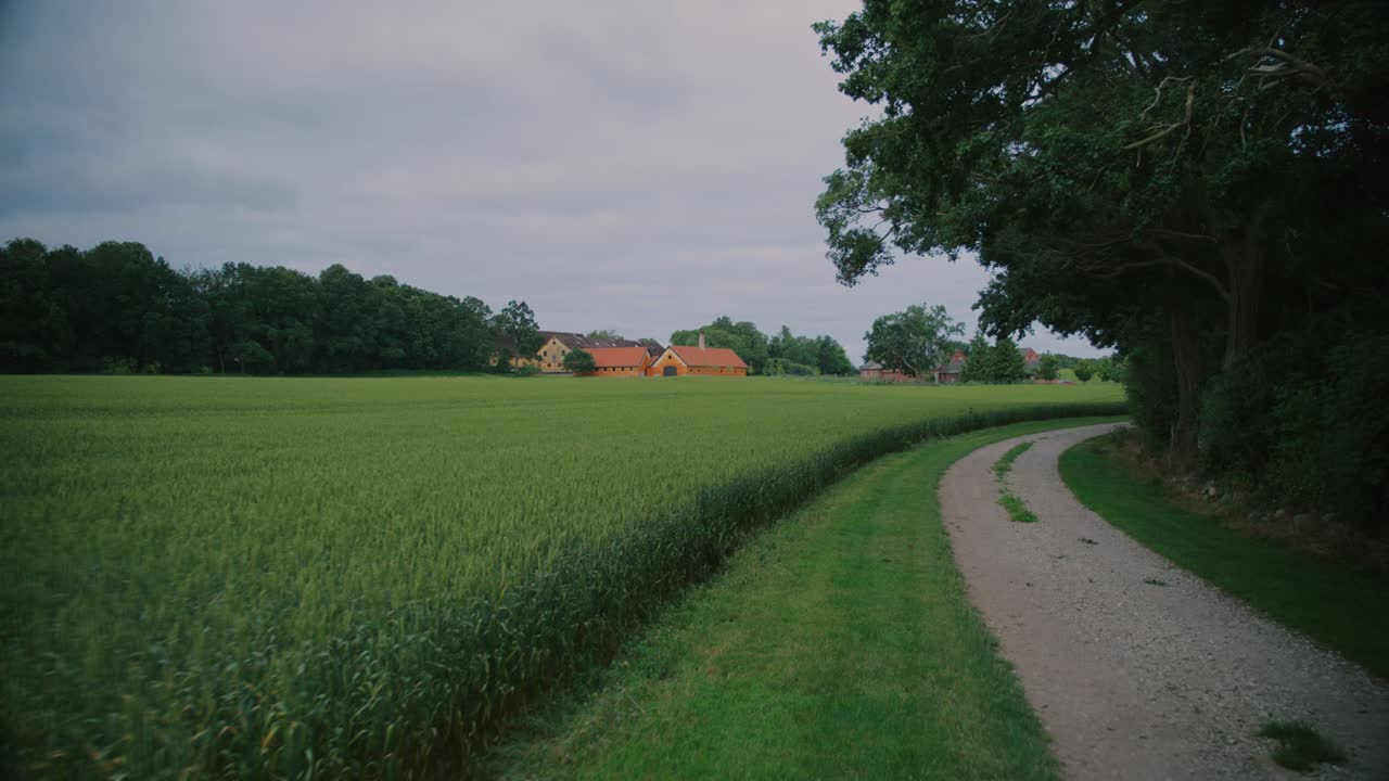 Green fields and a winding gravel path near a farm in Langeland, Denmark