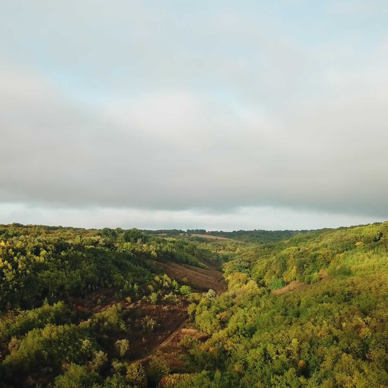 Beautiful natural view of green forests on hills and fields under the light cloudy sky. Flight over wonderful landscape in summer. Aerial view