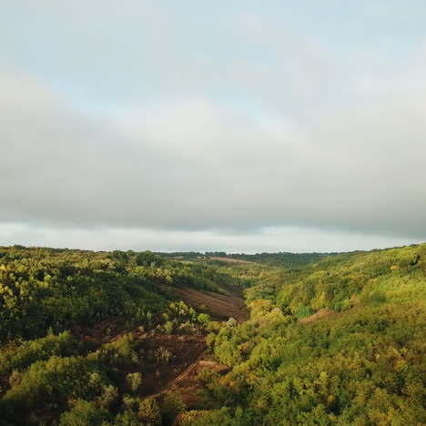 beautiful natural view of green forests on hills and fields under the light cloudy sky. flight over wonderful landscape in summer. aerial view